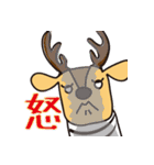 しましかかしま（個別スタンプ：31）
