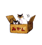 まきたねこ（個別スタンプ：38）