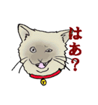 動物！ 動物ゥ！（個別スタンプ：5）