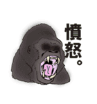 動物！ 動物ゥ！（個別スタンプ：8）