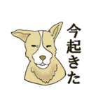 動物！ 動物ゥ！（個別スタンプ：24）
