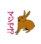 動物！ 動物ゥ！（個別スタンプ：28）