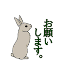 動物！ 動物ゥ！（個別スタンプ：29）