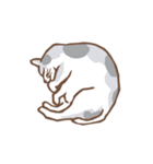 眠る猫（個別スタンプ：3）