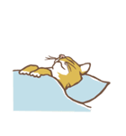 眠る猫（個別スタンプ：38）