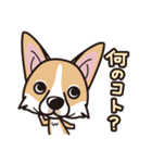 iinu ウェルシュ・コーギー・ペンブローク（個別スタンプ：9）