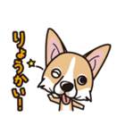 iinu ウェルシュ・コーギー・ペンブローク（個別スタンプ：31）