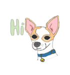 Zeen, the Chihuahua（個別スタンプ：1）