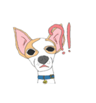 Zeen, the Chihuahua（個別スタンプ：2）