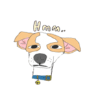 Zeen, the Chihuahua（個別スタンプ：3）