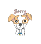 Zeen, the Chihuahua（個別スタンプ：5）