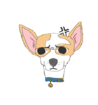 Zeen, the Chihuahua（個別スタンプ：7）