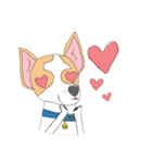 Zeen, the Chihuahua（個別スタンプ：10）