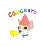 Zeen, the Chihuahua（個別スタンプ：11）