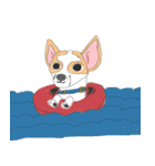 Zeen, the Chihuahua（個別スタンプ：16）
