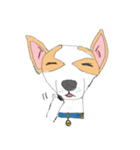 Zeen, the Chihuahua（個別スタンプ：18）