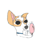 Zeen, the Chihuahua（個別スタンプ：19）