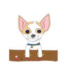 Zeen, the Chihuahua（個別スタンプ：21）