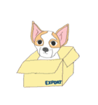 Zeen, the Chihuahua（個別スタンプ：24）