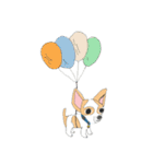Zeen, the Chihuahua（個別スタンプ：25）