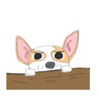 Zeen, the Chihuahua（個別スタンプ：26）