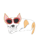 Zeen, the Chihuahua（個別スタンプ：30）