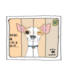 Zeen, the Chihuahua（個別スタンプ：31）