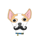 Zeen, the Chihuahua（個別スタンプ：32）