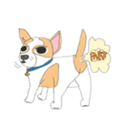 Zeen, the Chihuahua（個別スタンプ：38）