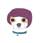 Zeen, the Chihuahua（個別スタンプ：39）
