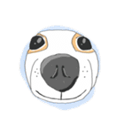Zeen, the Chihuahua（個別スタンプ：40）
