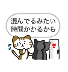 Mr.and Mrs.Cat（個別スタンプ：1）