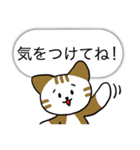 Mr.and Mrs.Cat（個別スタンプ：17）