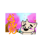 まゆげ犬とメガネぬこ 3 "イベント＆挨拶"（個別スタンプ：10）