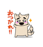 まゆげ犬とメガネぬこ 3 "イベント＆挨拶"（個別スタンプ：13）