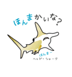 海の生き物～大阪弁と共に～（個別スタンプ：6）