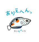 海の生き物～大阪弁と共に～（個別スタンプ：23）