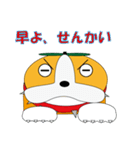 愛媛犬（個別スタンプ：33）