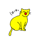 黄色い猫で遊ぼう（個別スタンプ：12）