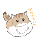 ゆるふわネコみやびの日常（個別スタンプ：1）