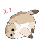 ゆるふわネコみやびの日常（個別スタンプ：2）