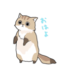 ゆるふわネコみやびの日常（個別スタンプ：3）