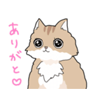 ゆるふわネコみやびの日常（個別スタンプ：4）