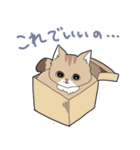 ゆるふわネコみやびの日常（個別スタンプ：11）