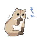 ゆるふわネコみやびの日常（個別スタンプ：20）