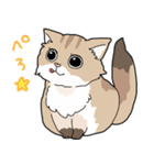 ゆるふわネコみやびの日常（個別スタンプ：25）