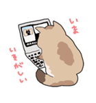ゆるふわネコみやびの日常（個別スタンプ：34）