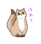 ゆるふわネコみやびの日常（個別スタンプ：37）