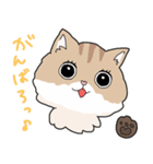 ゆるふわネコみやびの日常（個別スタンプ：38）