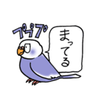 "セキセイインコの日常" 鳥さんと一緒04（個別スタンプ：15）